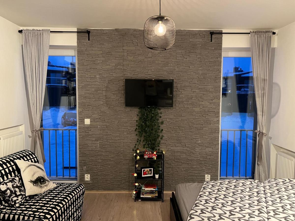 New Nelis Apartment Klinovec Loučná pod Klínovcem Dış mekan fotoğraf