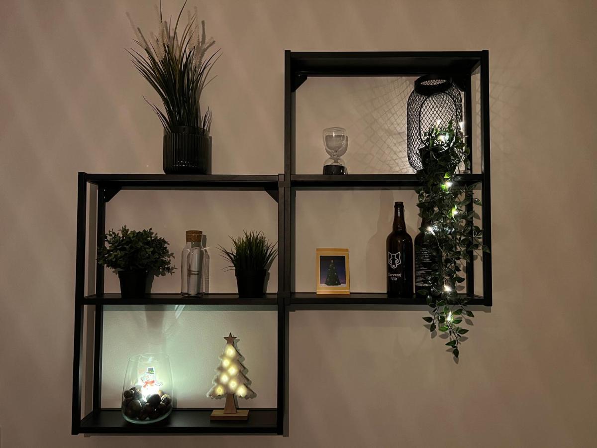 New Nelis Apartment Klinovec Loučná pod Klínovcem Dış mekan fotoğraf